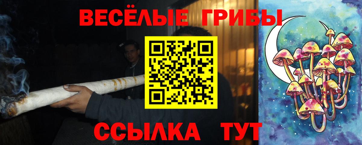 Галлюциногенные грибы Psilocybe Керчь